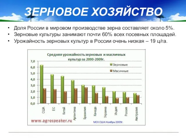Доля России в мировом производстве зерна составляет около 5%. Зерновые культуры
