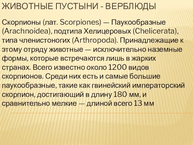 Животные пустыни - верблюды Скорпионы (лат. Scorpiones) — Паукообразные (Arachnoidea), подтипа