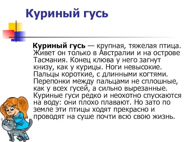 Куриный гусь Куриный гусь — крупная, тяжелая птица. Живет он только