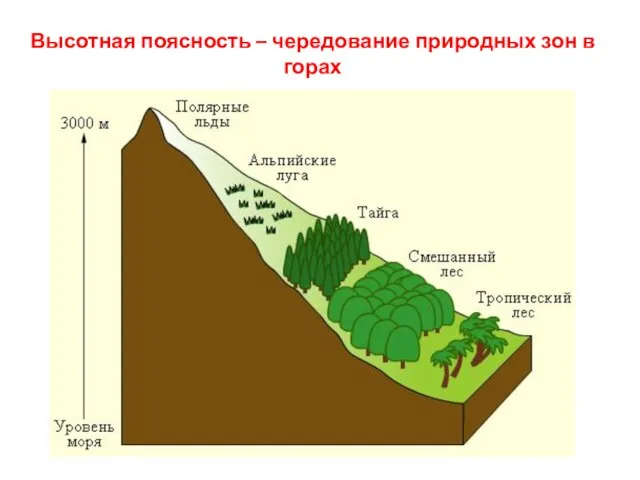 Высотная поясность – чередование природных зон в горах