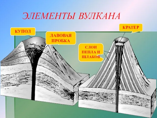 ЭЛЕМЕНТЫ ВУЛКАНА КУПОЛ ЛАВОВАЯ ПРОБКА СЛОИ ПЕПЛА И ШЛАКОВ КРАТЕР