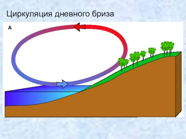 Циркуляция дневного бриза