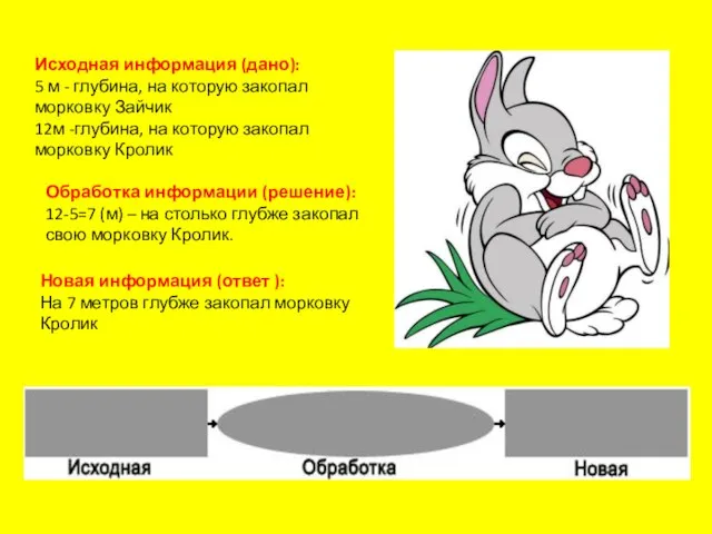 Исходная информация (дано): 5 м - глубина, на которую закопал морковку