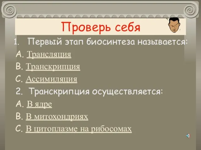 Проверь себя Первый этап биосинтеза называется: А. Трансляция В. Транскрипция С.