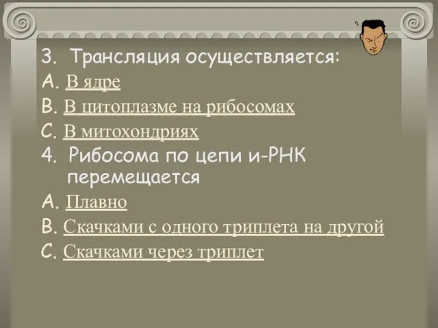 3. Трансляция осуществляется: А. В ядре В. В цитоплазме на рибосомах