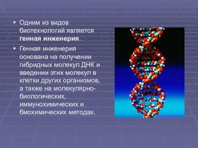 Одним из видов биотехнологий является генная инженерия. Генная инженерия основана на