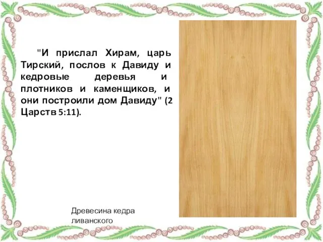 "И прислал Хирам, царь Тирский, послов к Давиду и кедровые деревья