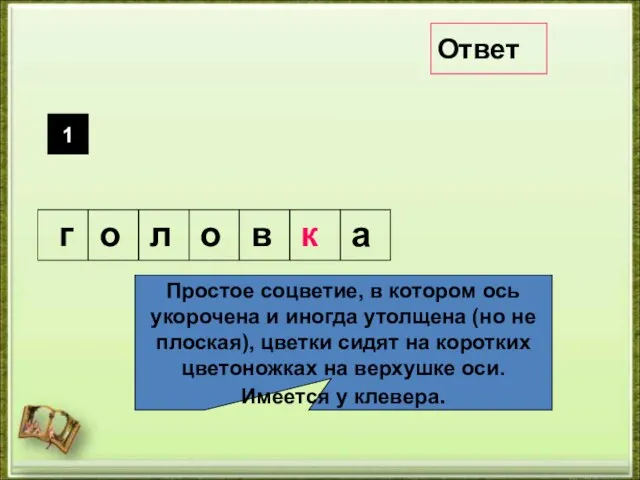 Простое соцветие, в котором ось укорочена и иногда утолщена (но не