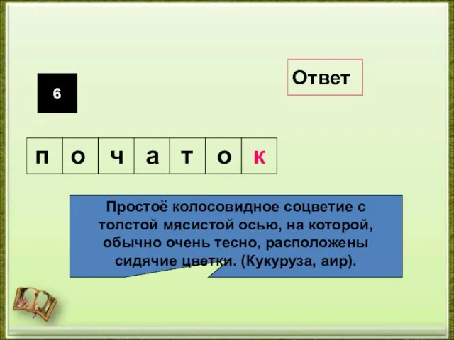 6 Простоё колосовидное соцветие с толстой мясистой осью, на которой, обычно