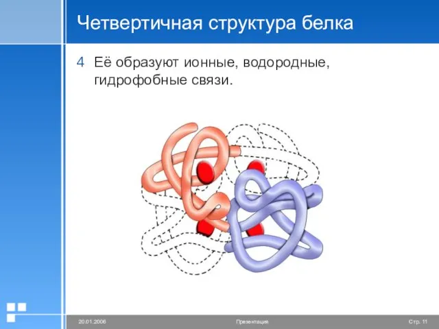 Четвертичная структура белка Её образуют ионные, водородные, гидрофобные связи.