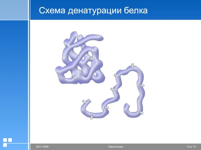 Схема денатурации белка