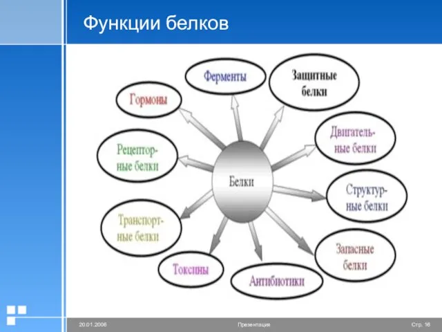 Функции белков