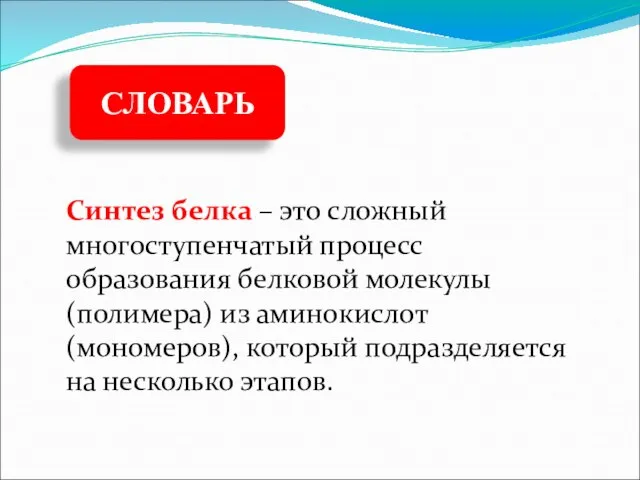 Синтез белка – это сложный многоступенчатый процесс образования белковой молекулы (полимера)