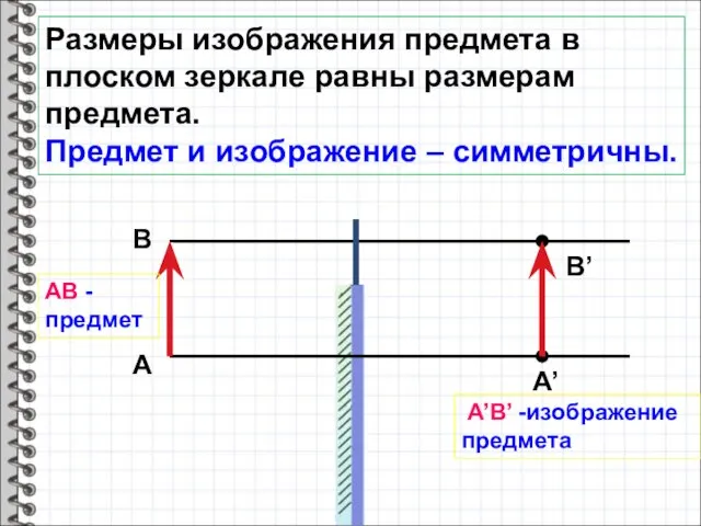 Размеры изображения предмета в плоском зеркале равны размерам предмета. Предмет и