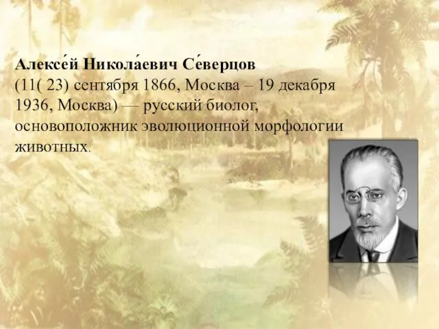 Алексе́й Никола́евич Се́верцов (11( 23) сентября 1866, Москва – 19 декабря