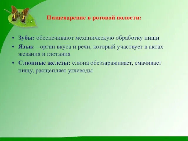 Пищеварение в ротовой полости: Зубы: обеспечивают механическую обработку пищи Язык –