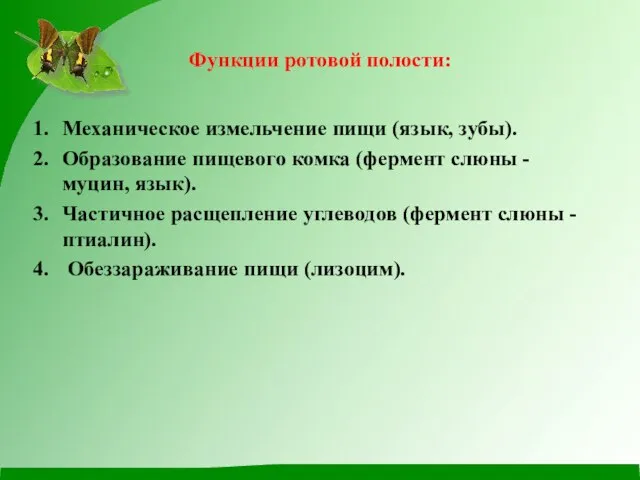 Функции ротовой полости: Механическое измельчение пищи (язык, зубы). Образование пищевого комка