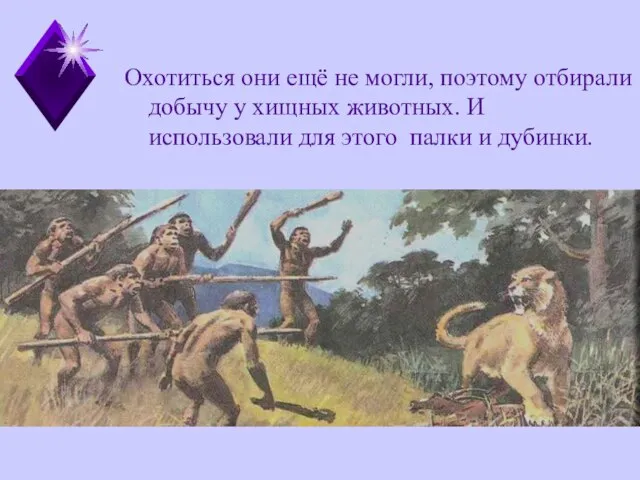 Медина Мекка Охотиться они ещё не могли, поэтому отбирали добычу у