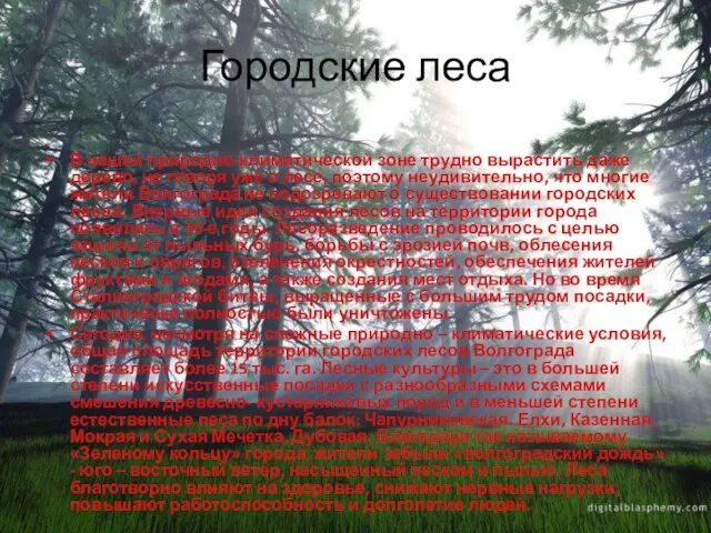 Городские леса В нашей природно-климатической зоне трудно вырастить даже дерево, не