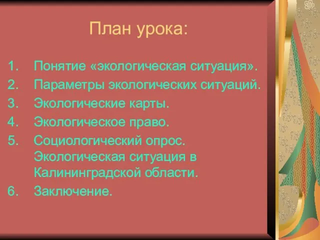 План урока: Понятие «экологическая ситуация». Параметры экологических ситуаций. Экологические карты. Экологическое