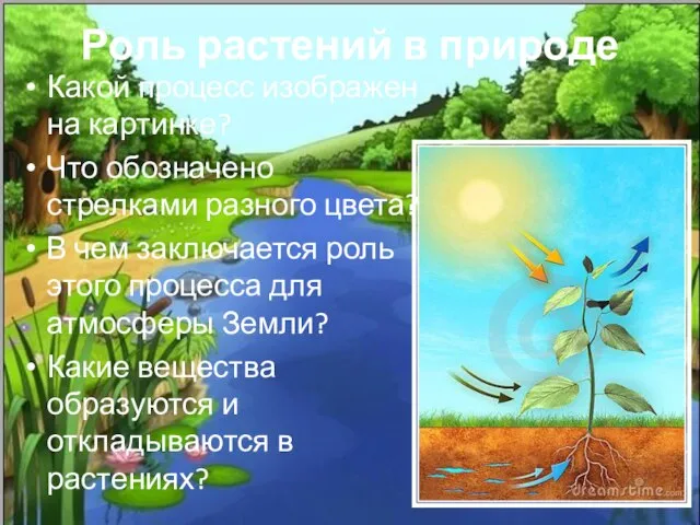 Роль растений в природе Какой процесс изображен на картинке? Что обозначено