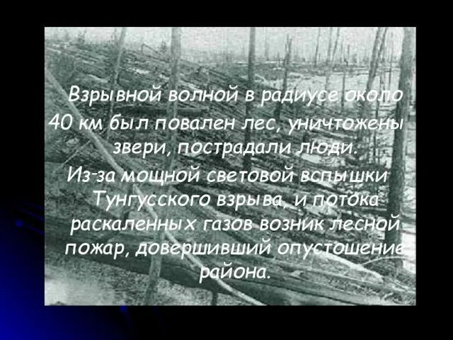 Взрывной волной в радиусе около 40 км был повален лес, уничтожены