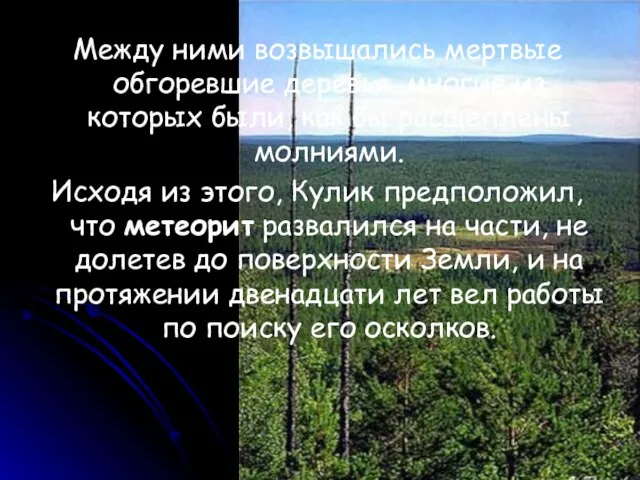 Между ними возвышались мертвые обгоревшие деревья, многие из которых были, как