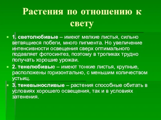 Растения по отношению к свету 1. светолюбивые – имеют мелкие листья,