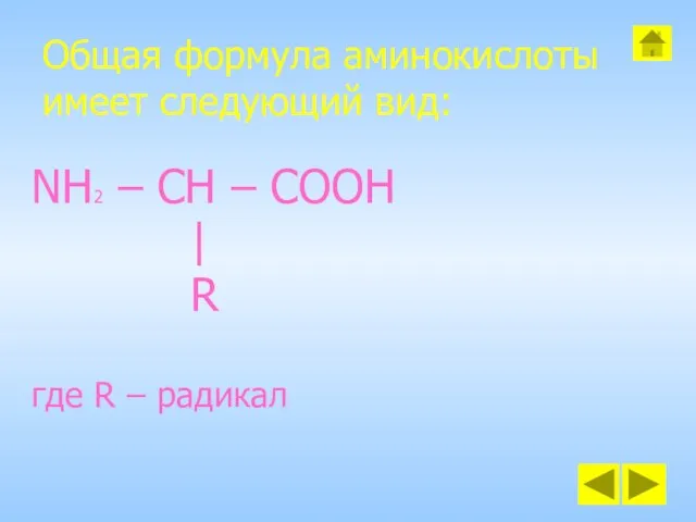 Общая формула аминокислоты имеет следующий вид: NH2 – CH – COOH