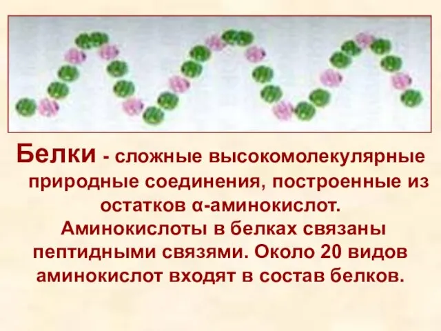 Белки - сложные высокомолекулярные природные соединения, построенные из остатков α-аминокислот. Аминокислоты