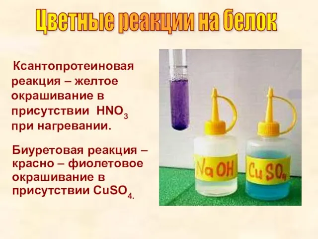 Ксантопротеиновая реакция – желтое окрашивание в присутствии НNO3 при нагревании. Биуретовая