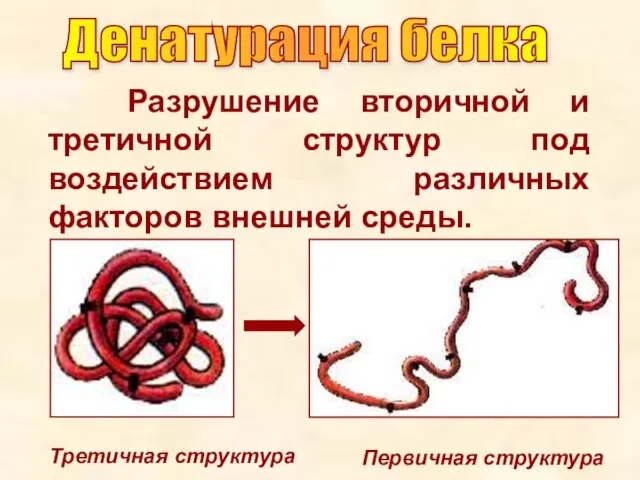 Разрушение вторичной и третичной структур под воздействием различных факторов внешней среды.