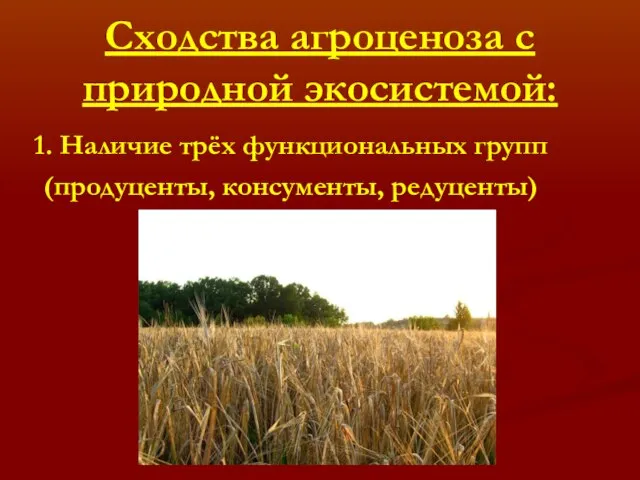 Сходства агроценоза с природной экосистемой: 1. Наличие трёх функциональных групп (продуценты, консументы, редуценты)