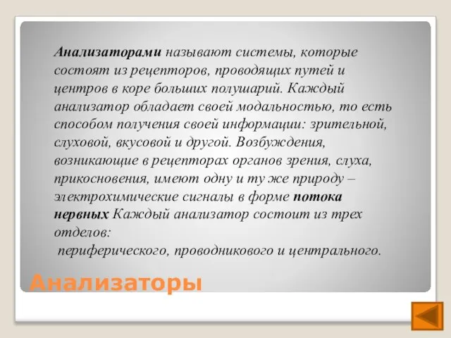 Анализаторы Анализаторами называют системы, которые состоят из рецепторов, проводящих путей и