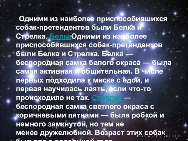 Одними из наиболее приспособившихся собак-претендентов были Белка и Стрелка. БелкаОдними из