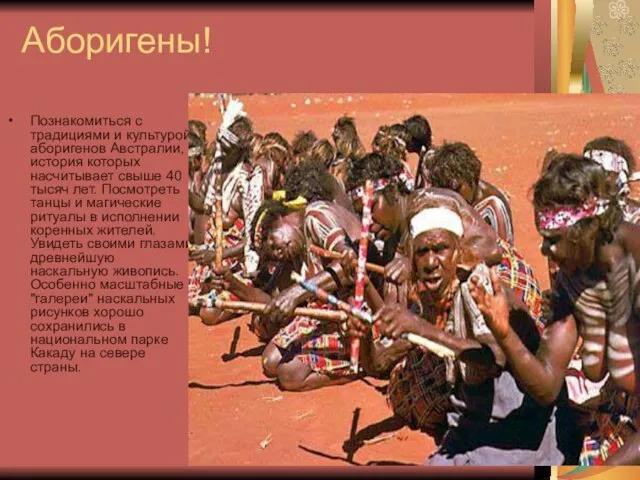 Аборигены! Познакомиться с традициями и культурой аборигенов Австралии, история которых насчитывает