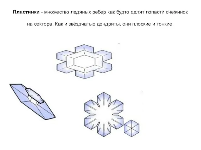 Пластинки - множество ледяных ребер как будто делят лопасти снежинок на