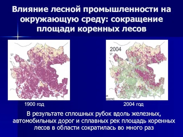 Влияние лесной промышленности на окружающую среду: сокращение площади коренных лесов В