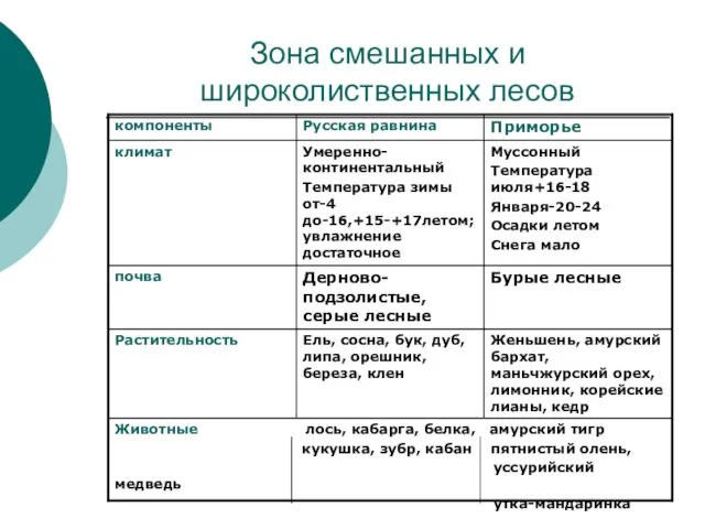 Зона смешанных и широколиственных лесов