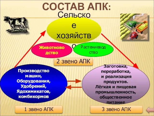 СОСТАВ АПК: Сельское хозяйство Животноводство Растениеводство 2 звено АПК Производство машин,