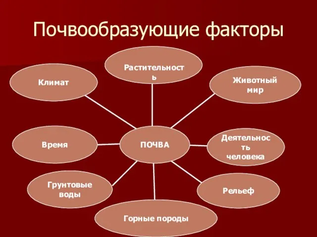 Почвообразующие факторы