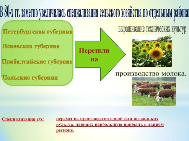 В 80-х гг. заметно увеличилась специализация сельско­го хозяйства по отдельным районам