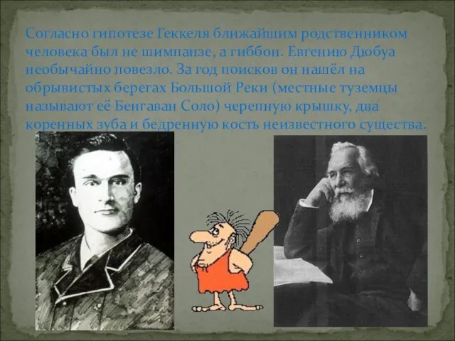 Согласно гипотезе Геккеля ближайшим родственником человека был не шимпанзе, а гиббон.