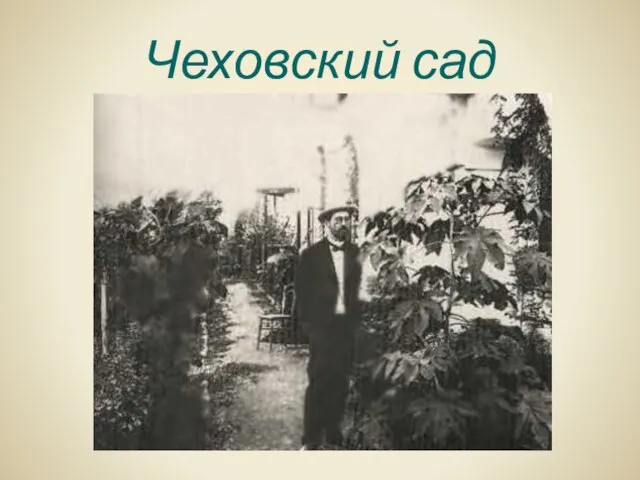 Чеховский сад