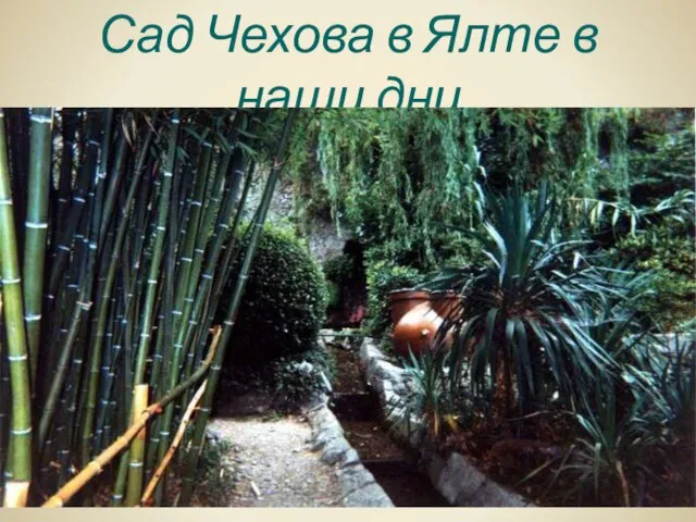 Сад Чехова в Ялте в наши дни