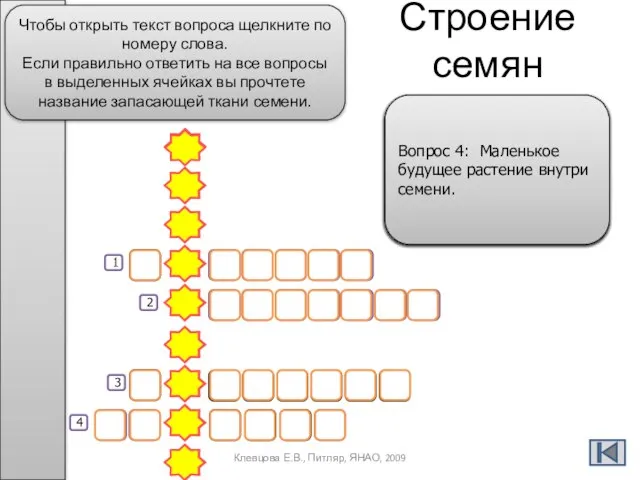 Строение семян т е б е л Э Н Д О