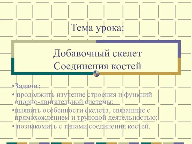 Тема урока: Добавочный скелет Соединения костей Задачи: продолжить изучение строения и