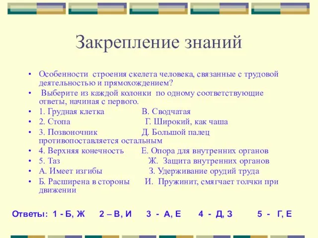 Закрепление знаний Особенности строения скелета человека, связанные с трудовой деятельностью и