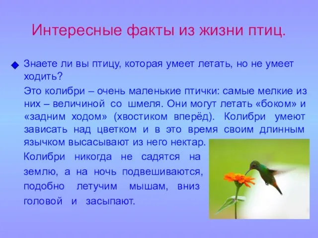 Интересные факты из жизни птиц. Знаете ли вы птицу, которая умеет