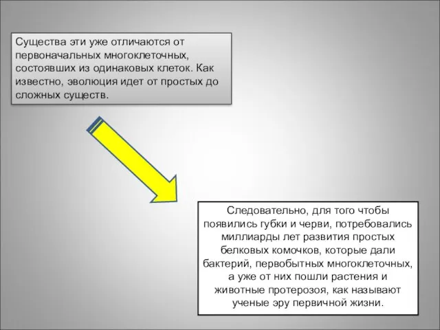 Существа эти уже отличаются от первоначальных многоклеточных, состоявших из одинаковых клеток.